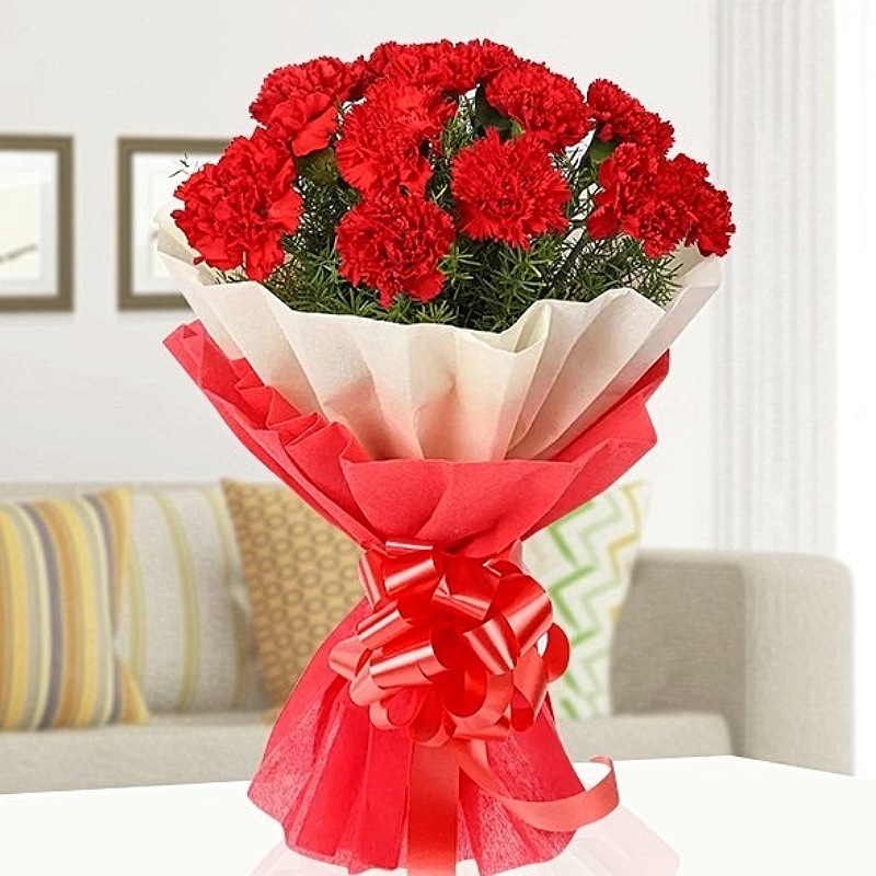 Carnations Love