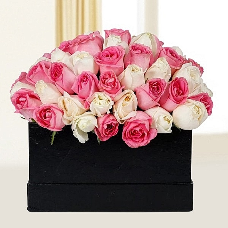 Beautiful Pink N White Roses