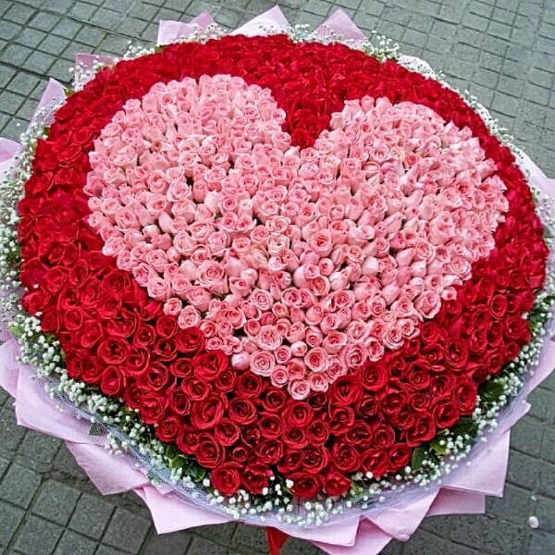 Heart Shape Roses Garden