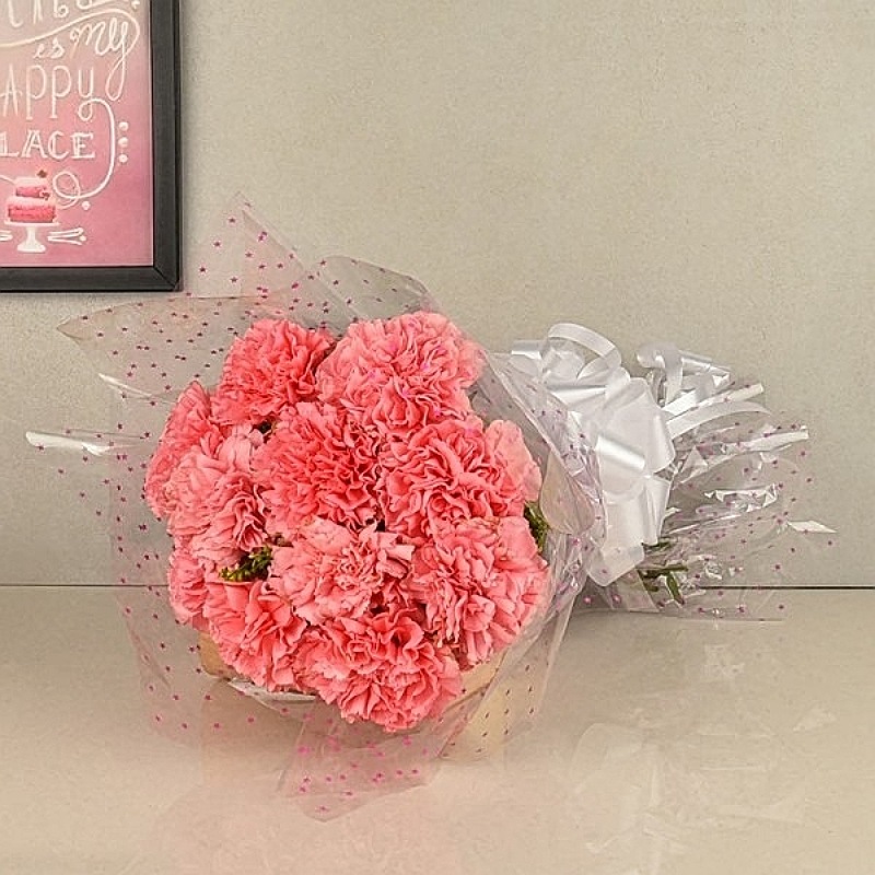 Adorable Pink Carnations