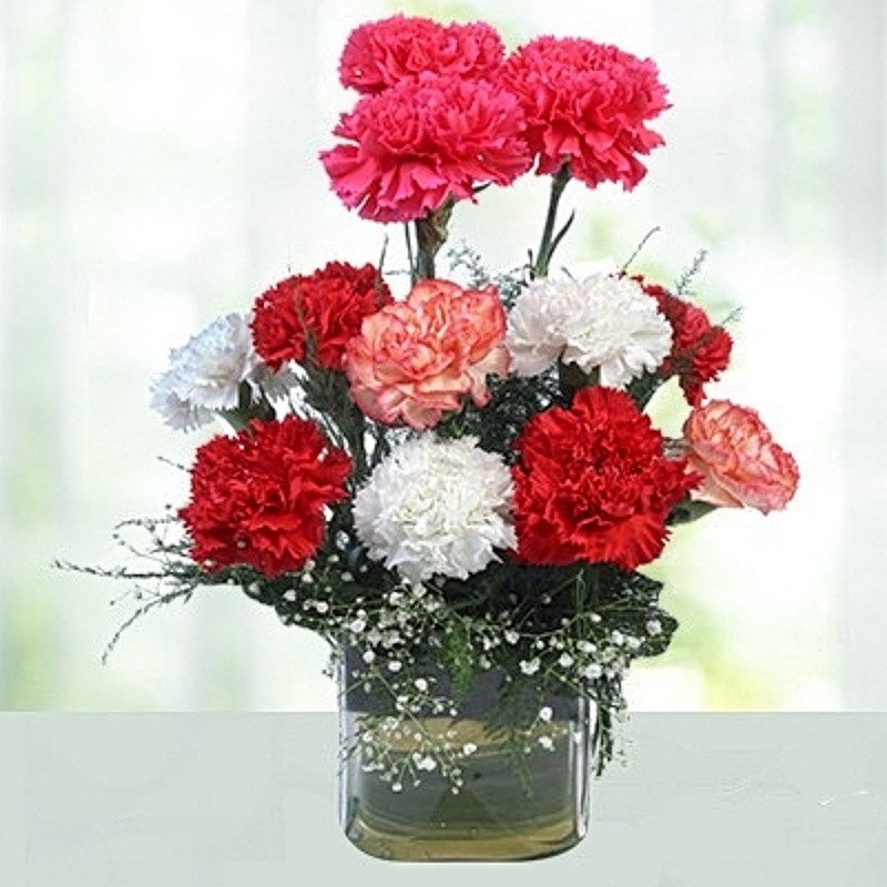 Musky Carnations In Vase