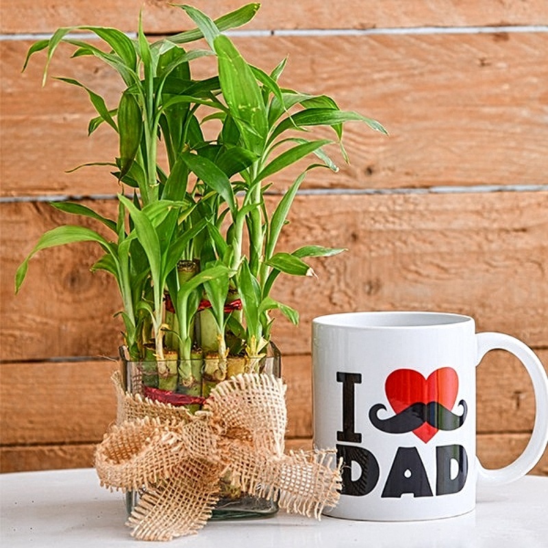 Lucky Bamboo With I Love Dad Mug