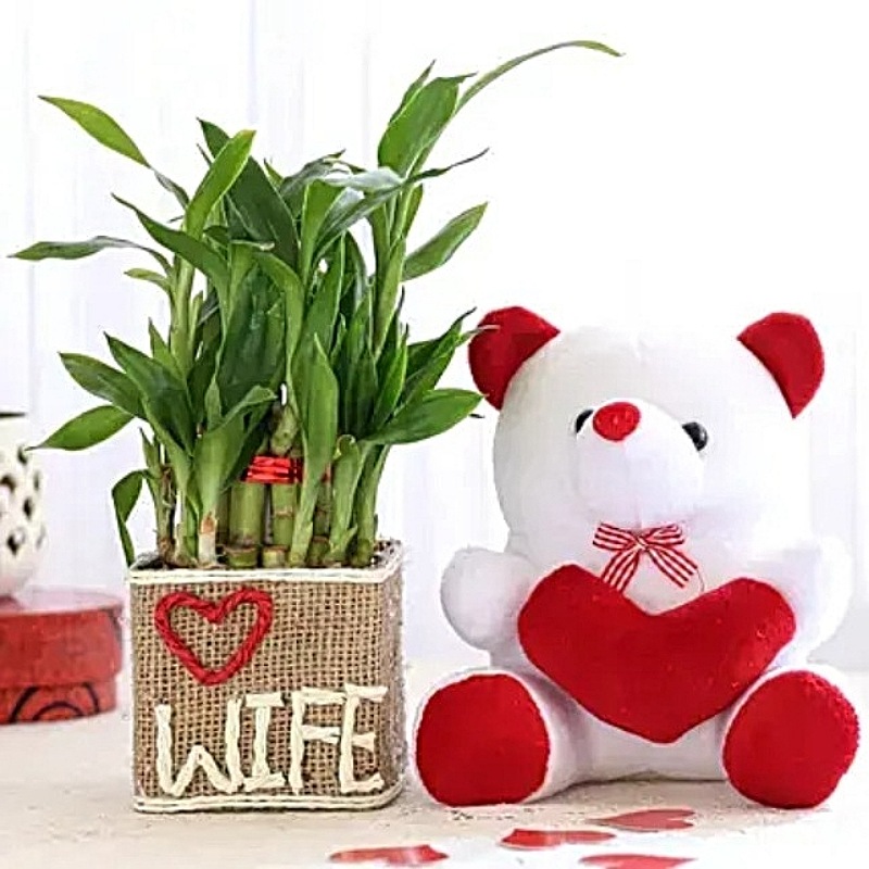 Buy Chaurasia sellers Teddy Bear Couple Love Soft Toy Teddy Girl