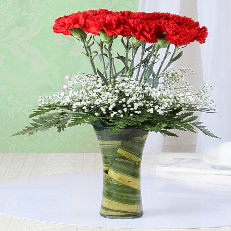 Magic of Red Carnations