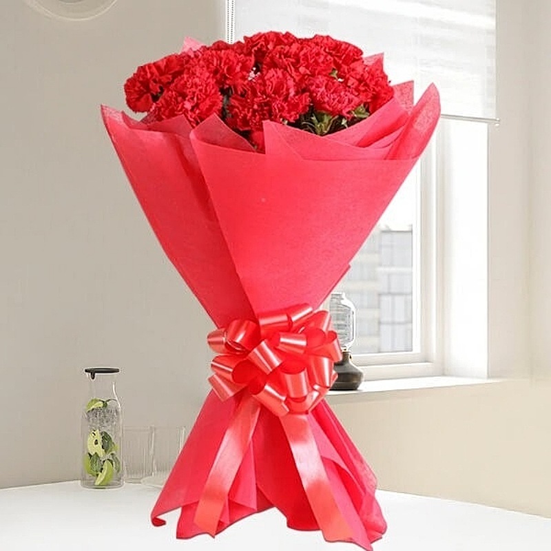 Red Carnations Bunch