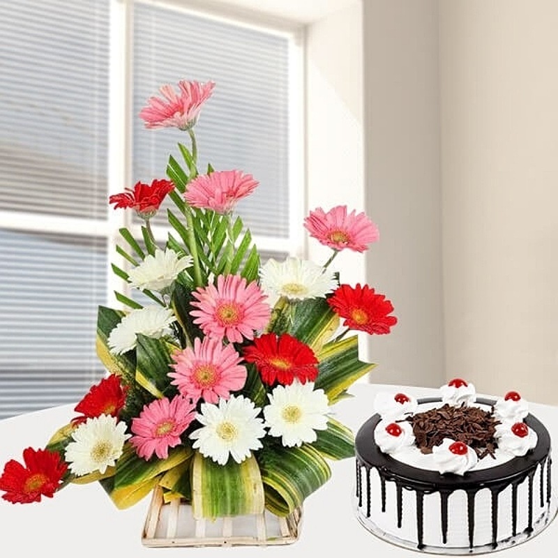 Colorful Gerberas With Cake