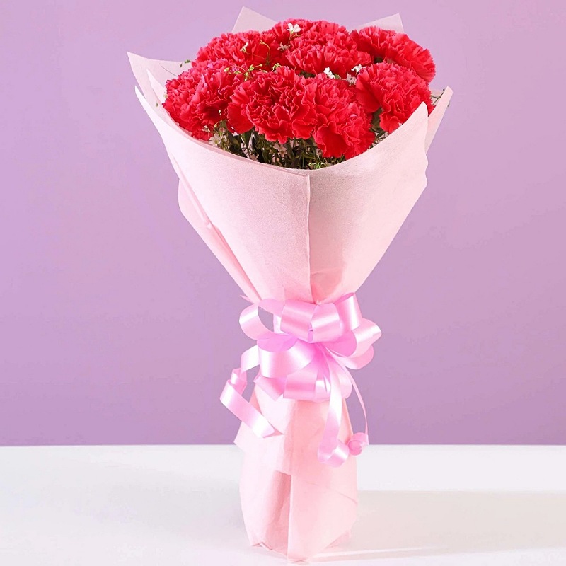 Enchanting Pink Carnations