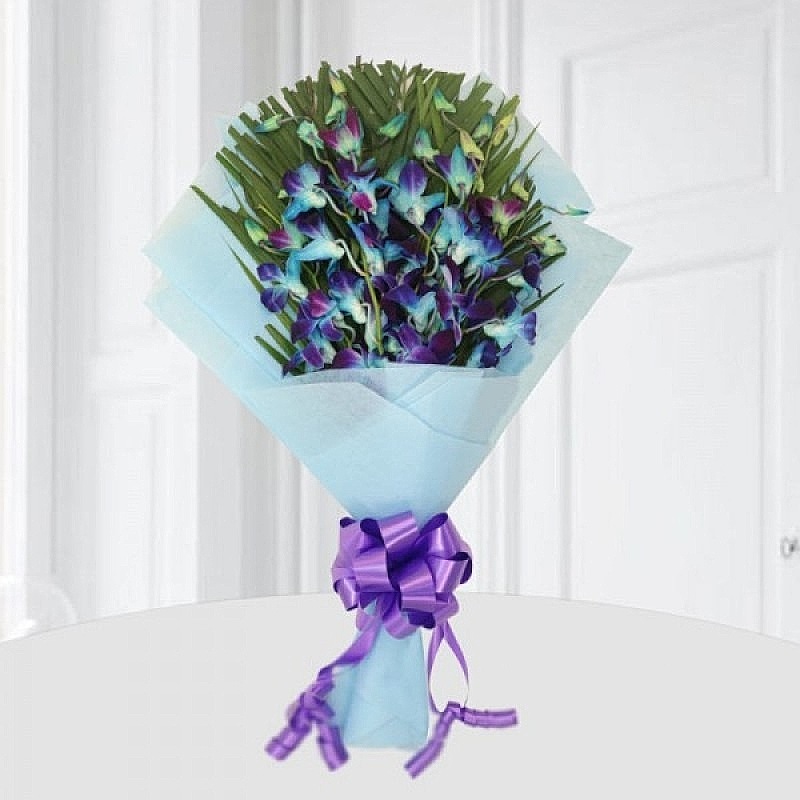Royal Blue Orchids