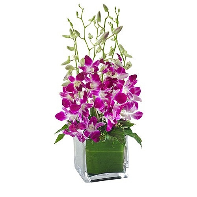 Stunning Orchids In Vase