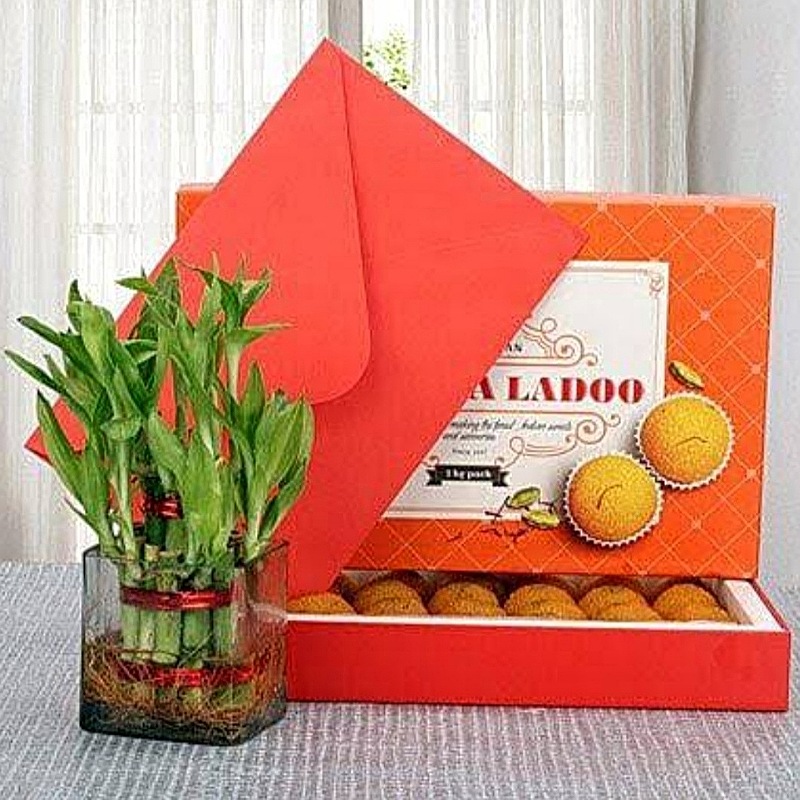 Moti Choor Ladoo With Lucky Bamboo