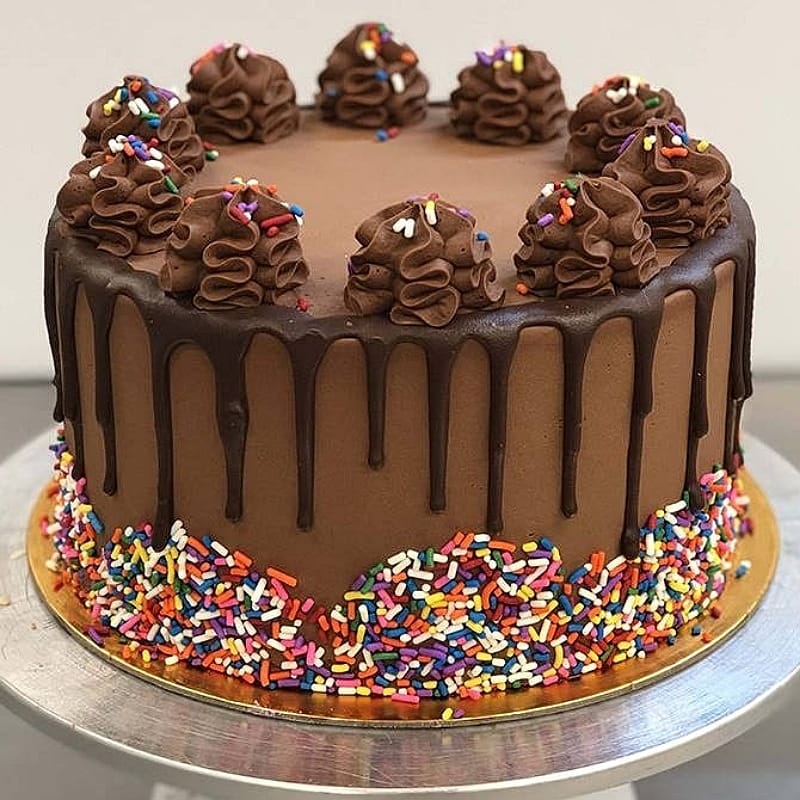 Chocolate Sprinkles Cake