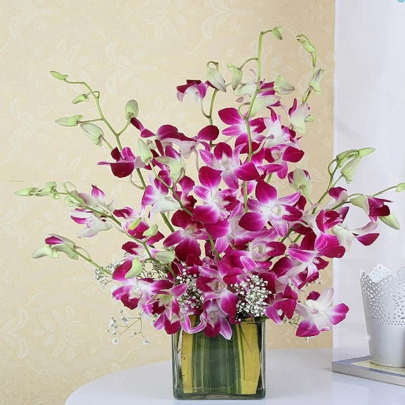 Purple Orchids Love New Year Gifts