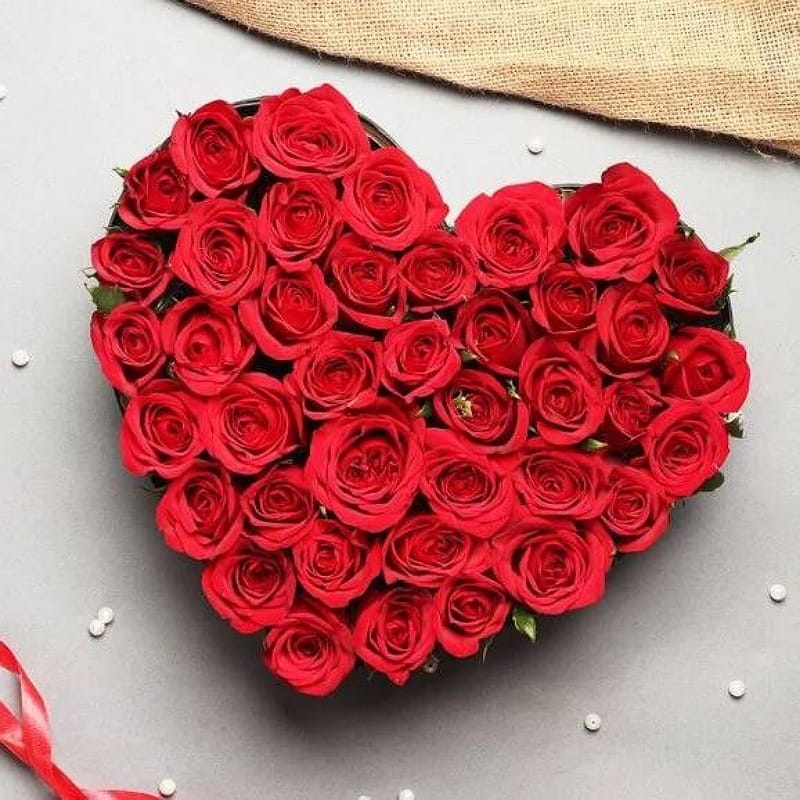 Beautiful Red Roses Heart Shape