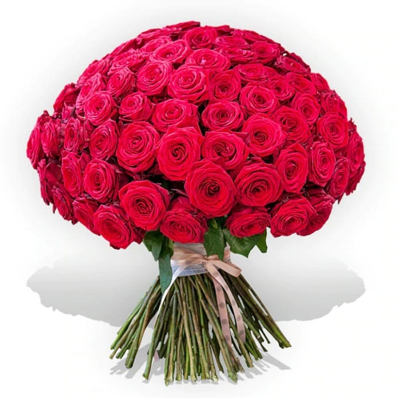 Red Roses Bouquet Large