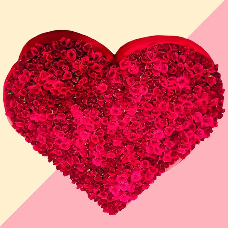 500 Red Roses Heart Shape Arrangement