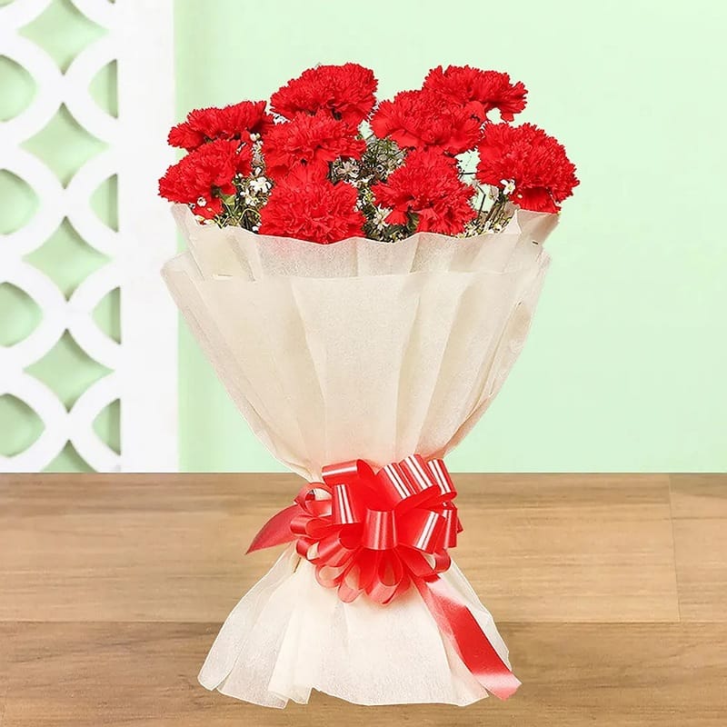 Loving Red Carnations