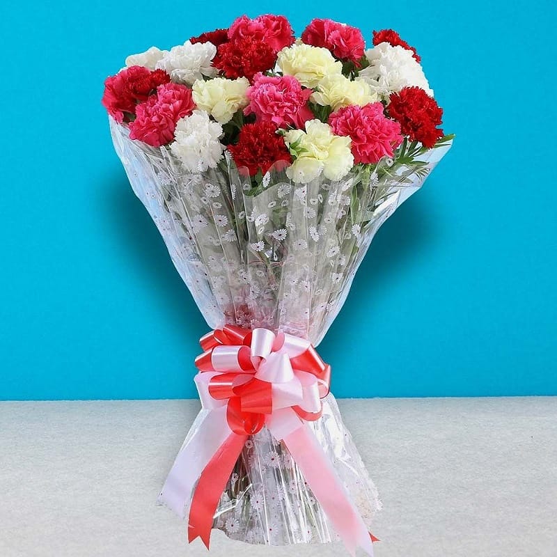 Charming Mixed Carnations