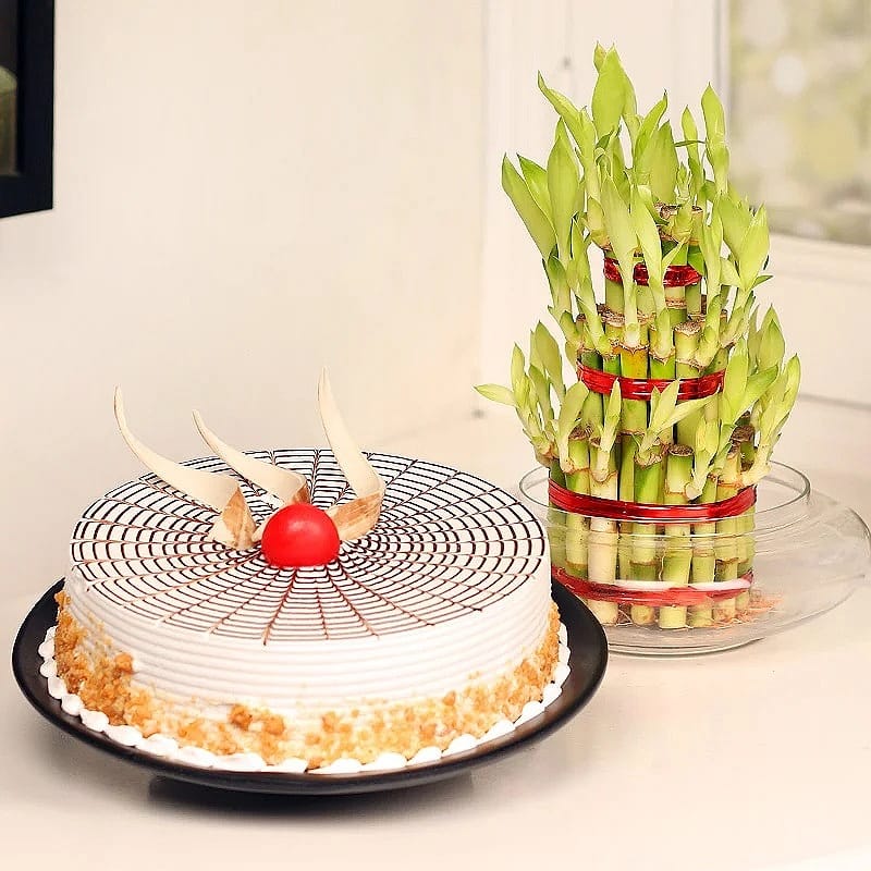 Butter Scotch Cake With Bamboo Plant