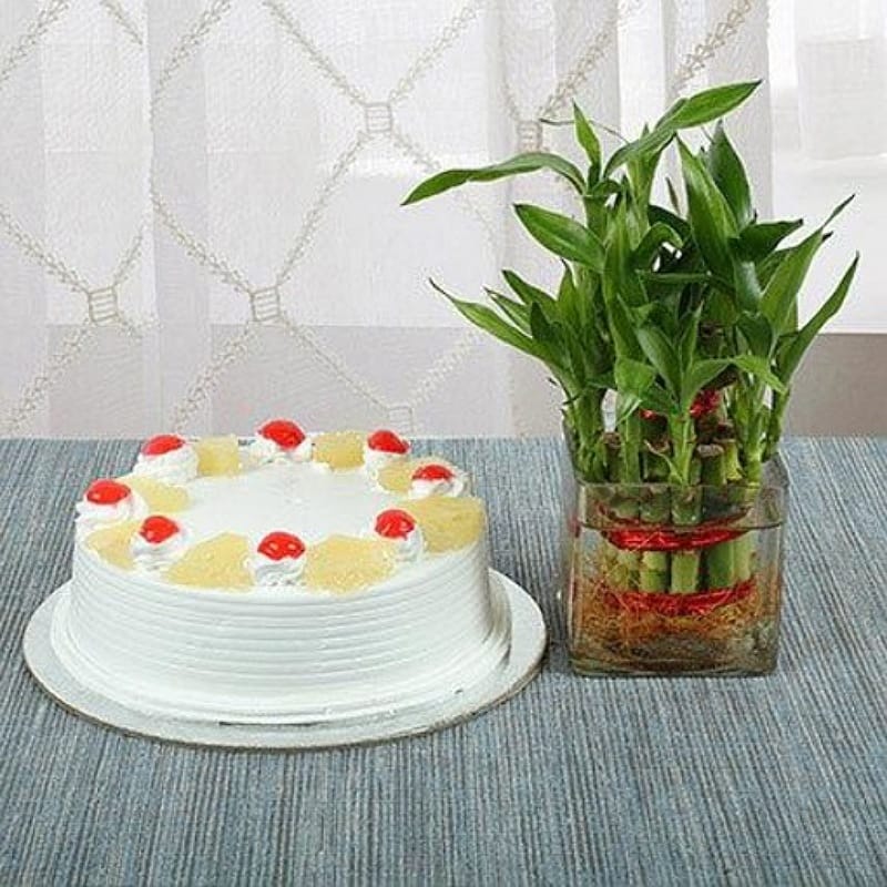 Pineapple Cake With Lucky Bamboo