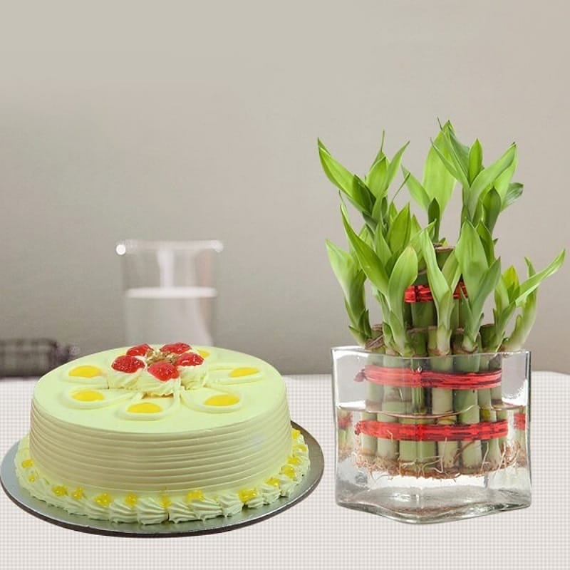 Butter Scotch Cake With Lucky Bamboo