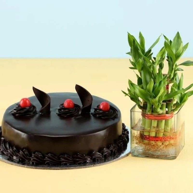 Delish Truffle Cake With Lucky Bamboo