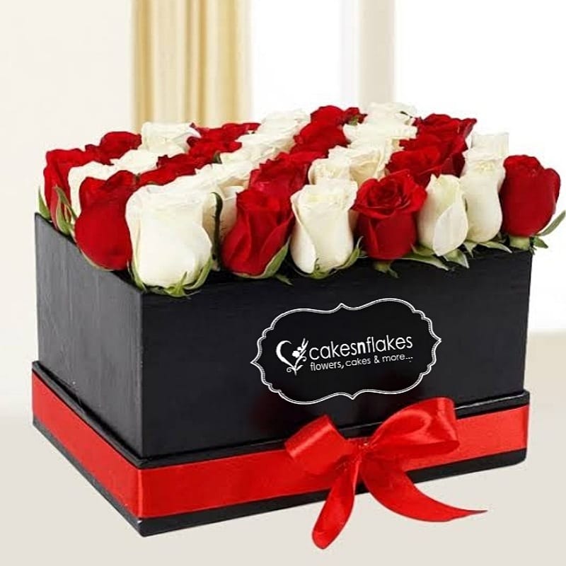 Beautiful Red & White Roses