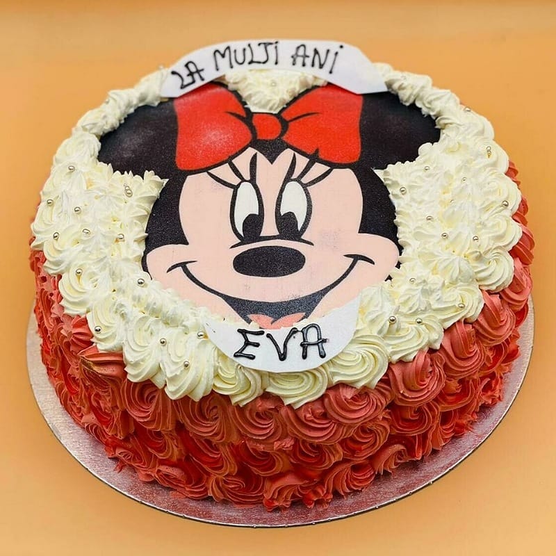 Floral Minnie Mouse Cake